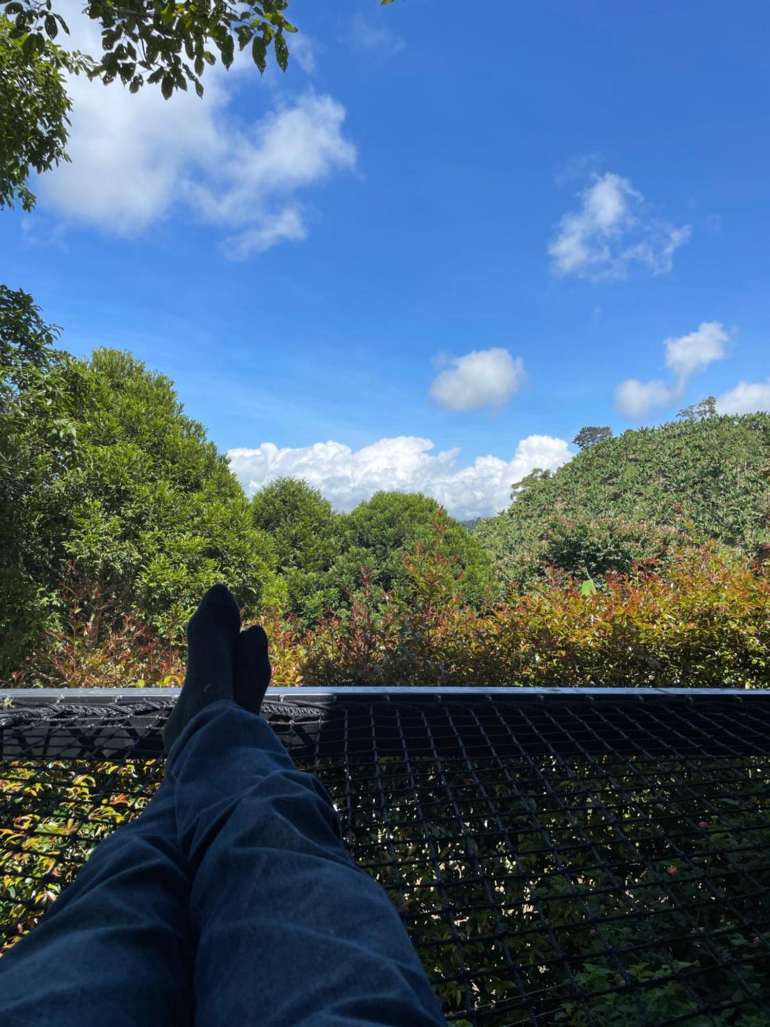 Gulupa Ecolodge Jardín Eksteriør bilde